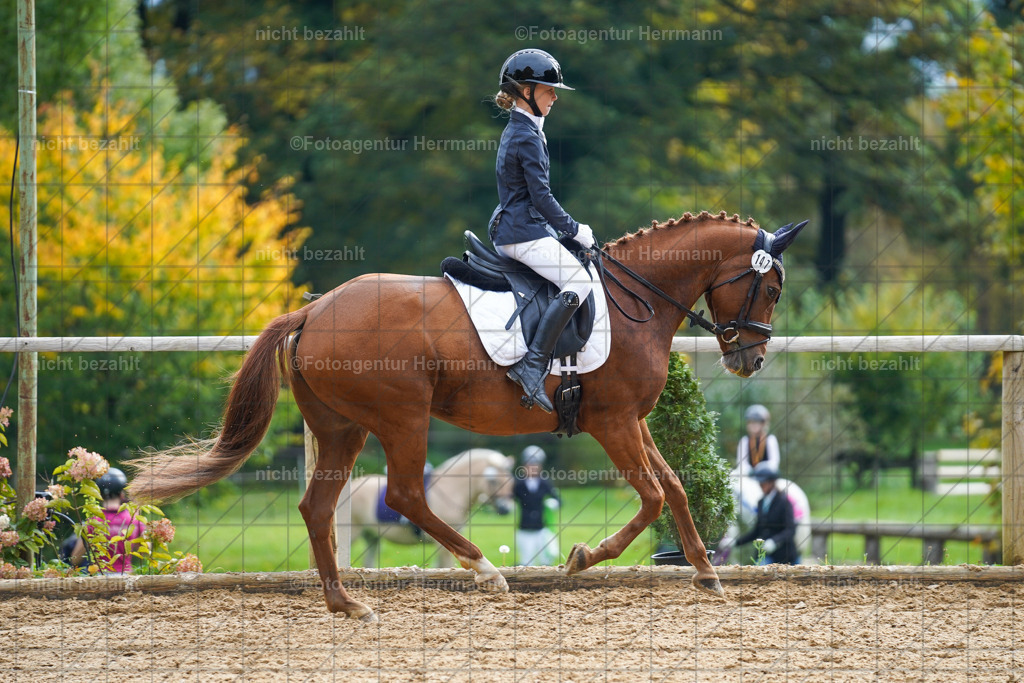 20221008-FAH01364 | Diessen am Ammersee, 2022, Dressur- und Springturnier, Reitsportbilder, Turnierfotografen Bayern, Pferdefotografen, Fotoagentur Herrmann, Turnierbilder