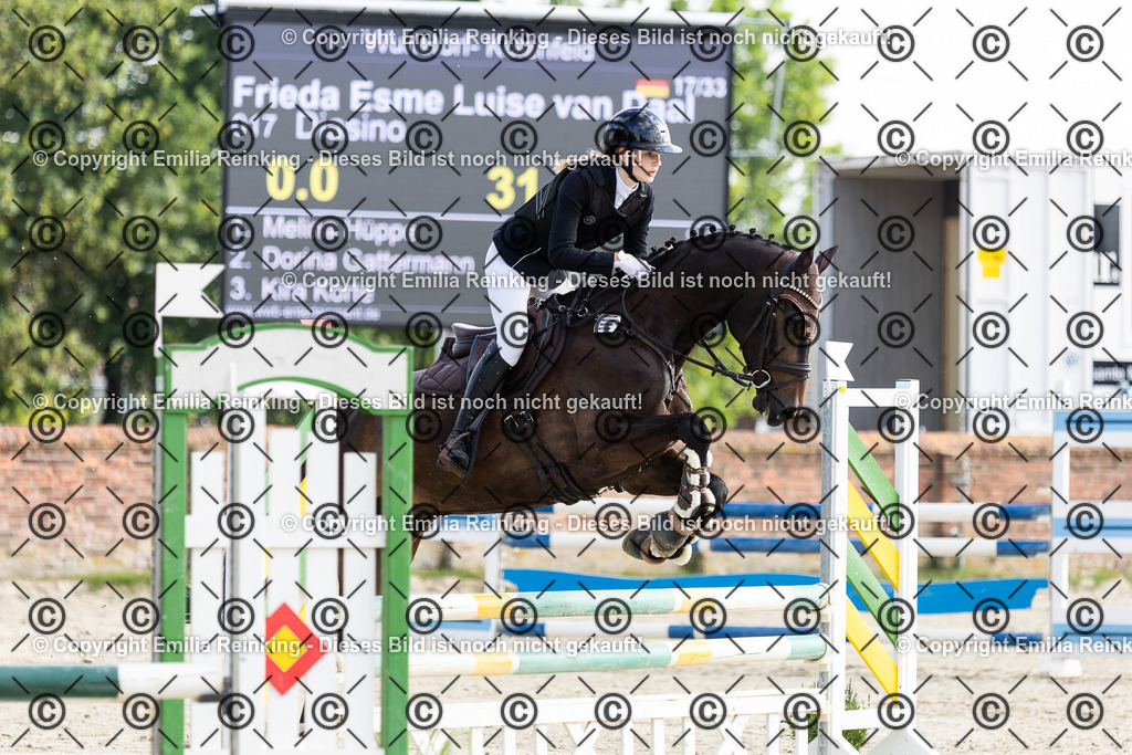 CL5A6200 | Emilia Reinking Fotografie - Realisiert mit Pictrs.com