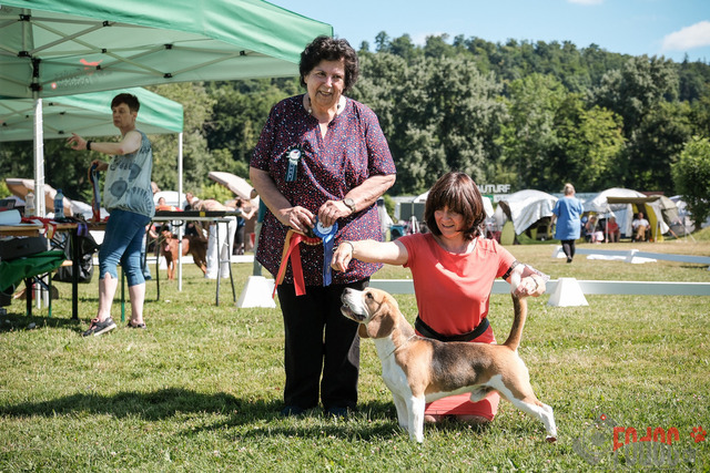 CACIB Aarau | CACIB Aarau, Swiss Dog Show  28062025 Foto: Leo Wyden