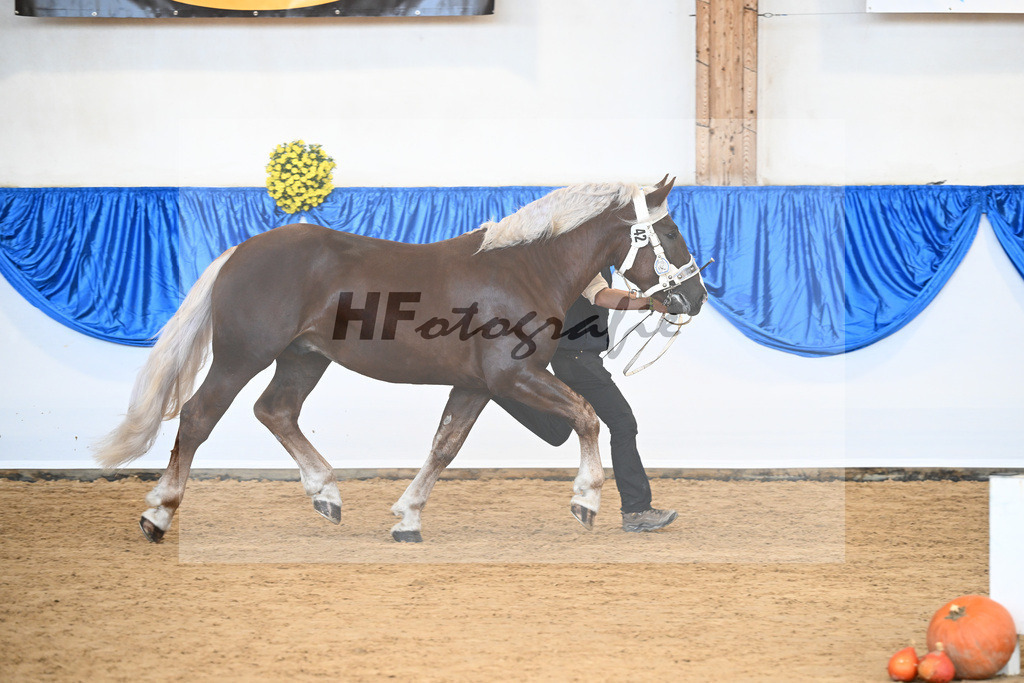 Kat-Nr. 42 nn v. Varon_Aschenbrenner_39250685 | hf-fotografie - Realizzato con Pictrs.com