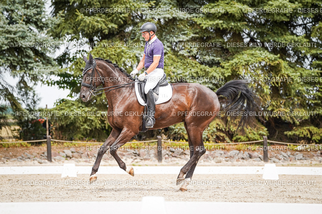 DSC06237 | Pferdegrafie