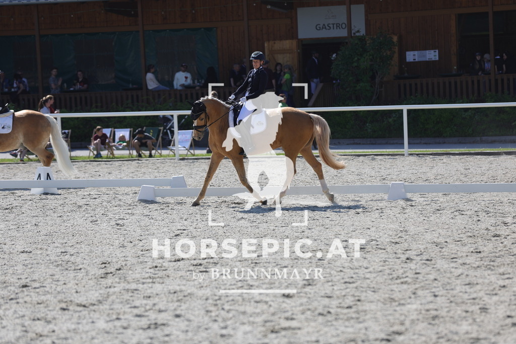 0P6A3027 | Willkommen bei Brunnmayr - Design & Fotografie – Ihrem Spezialisten für Reitturniere und Pferdeveranstaltungen in Oberösterreich, Salzburg und Bayern! Seit über 17 Jahren sind wir leidenschaftlich dabei.