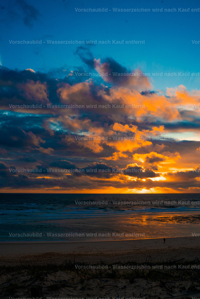 DSC01905 | marcuslinek