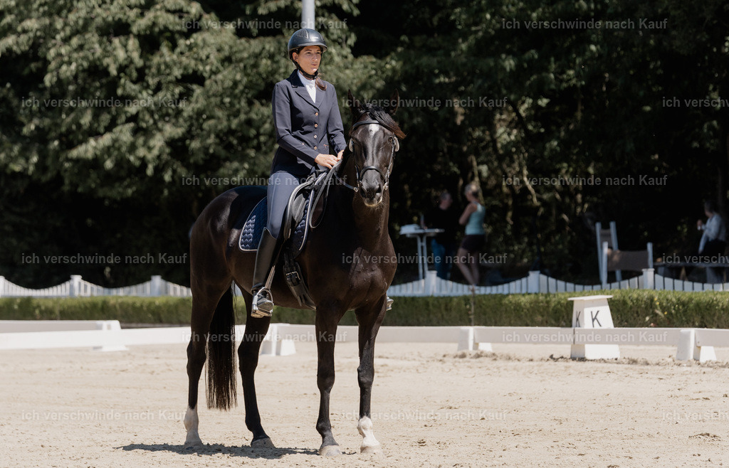 WE_DR_144_SinaFilmArt_IN03222 | working equitationturnier fotograf videograf stoibphotography marixx film working equitation deutschland reitsport turnierfotografie eventfotografie equestrian events