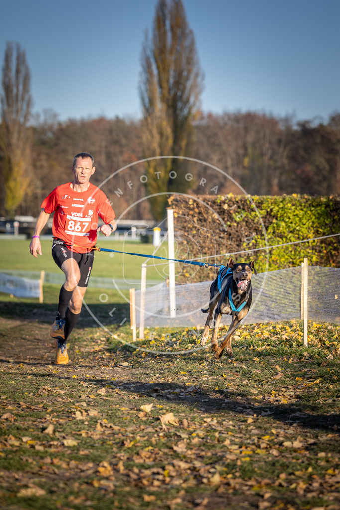 CaniXpix_DV3A4125 | Hundefotografie, Tierfotograf, Pfotenfotografie, Fotoshooting Hund, Hunde Portrait, Hundesport, Hundeportraits, Heideshooting, Hunde, Sportfotograf, Hundefotograf, Turnierhundsport, THS,  - Realisiert mit Pictrs.com