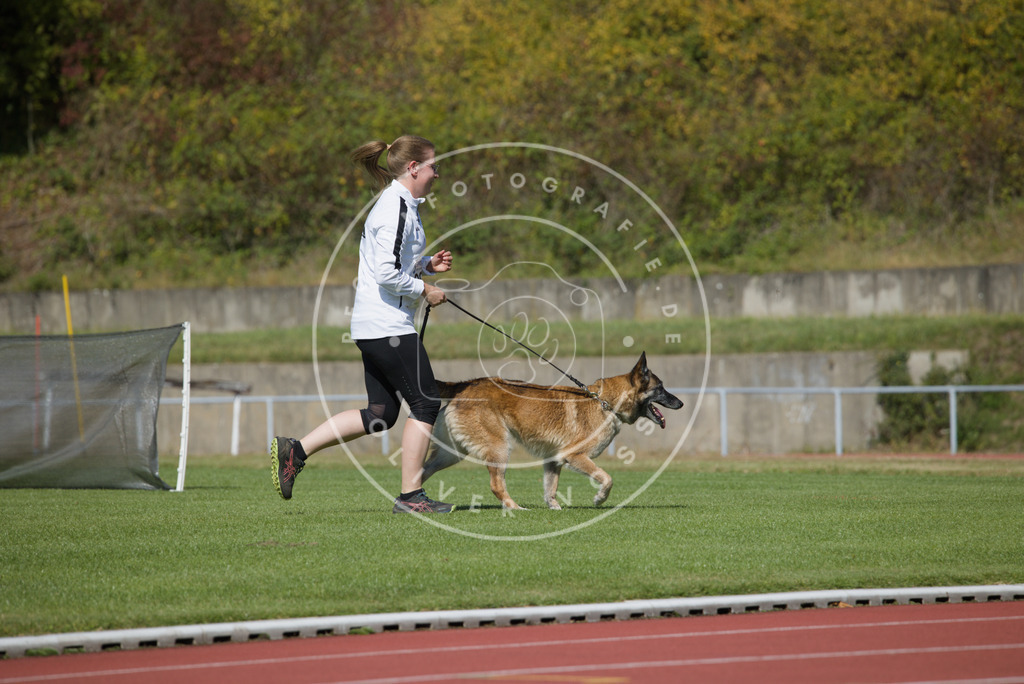 0L8A2582 | Hundefotografie, Tierfotograf, Pfotenfotografie, Fotoshooting Hund, Hunde Portrait, Hundesport, Hundeportraits, Heideshooting, Hunde, Sportfotograf, Hundefotograf, Turnierhundsport, THS,  - Realisiert mit Pictrs.com