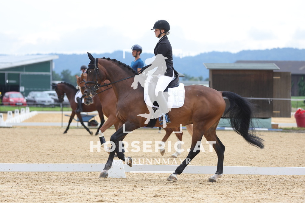 0P6A7962 | Willkommen bei Brunnmayr - Design & Fotografie – Ihrem Spezialisten für Reitturniere und Pferdeveranstaltungen in Oberösterreich, Salzburg und Bayern! Seit über 17 Jahren sind wir leidenschaftlich dabei.