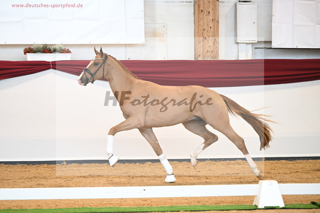 Kat-Nr. 33 v. Fuerst Samarant_Berger_66220380 | hf-fotografie - Realisiert mit Pictrs.com