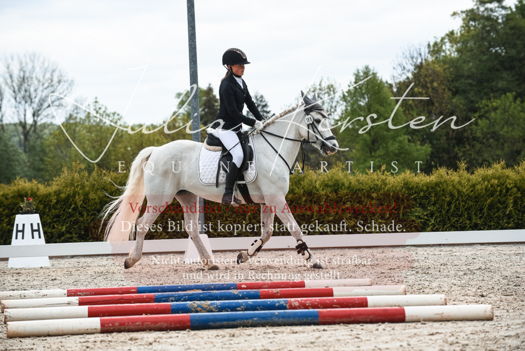 20230518_JK-Röhrsdorf-10-250 | Pferde- und Turnierfotografie in Westsachsen. Pferdeportraits, Auftragszeichnungen und intuitive Kunst.
