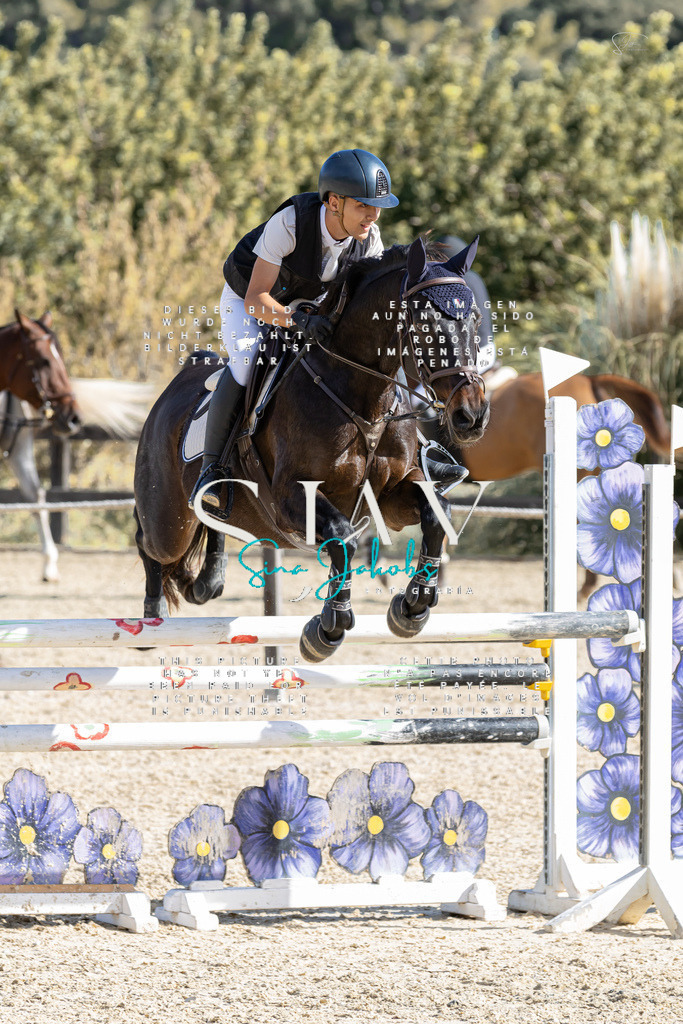 IMG_0397 | s-jay-photography - Realisiert mit Pictrs.com