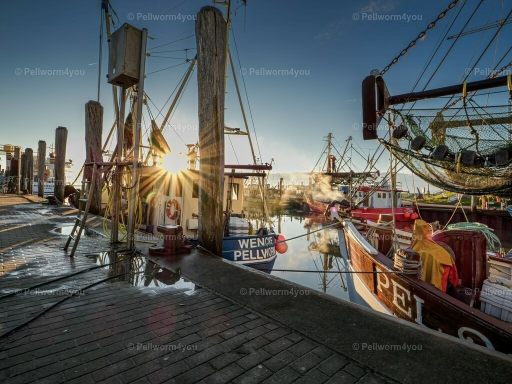 pellworm-kalender-2024-18-denoise-enhance-2x-sharpen | Pellwormer Bilder und Fotos als Poster, auf Leinwand mit Keilrahmen, hinter Acrylglas, auf Alu-Dibond oder Forex-Platte und vieles mehr. Zum verschenken, für die Ferienwohnung oder für zu Hause. - Realisiert mit Pictrs.com