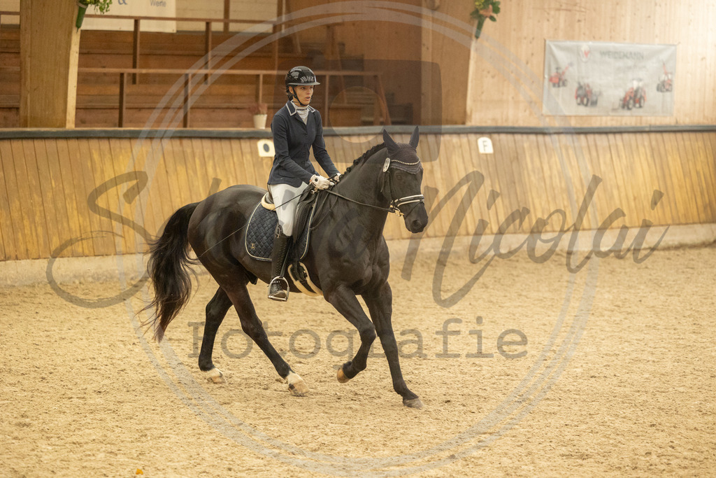 994A4219 | sabrinanicolaifotografie - Realisiert mit Pictrs.com