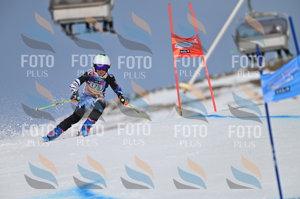 BGV_3445 | holidayphoto