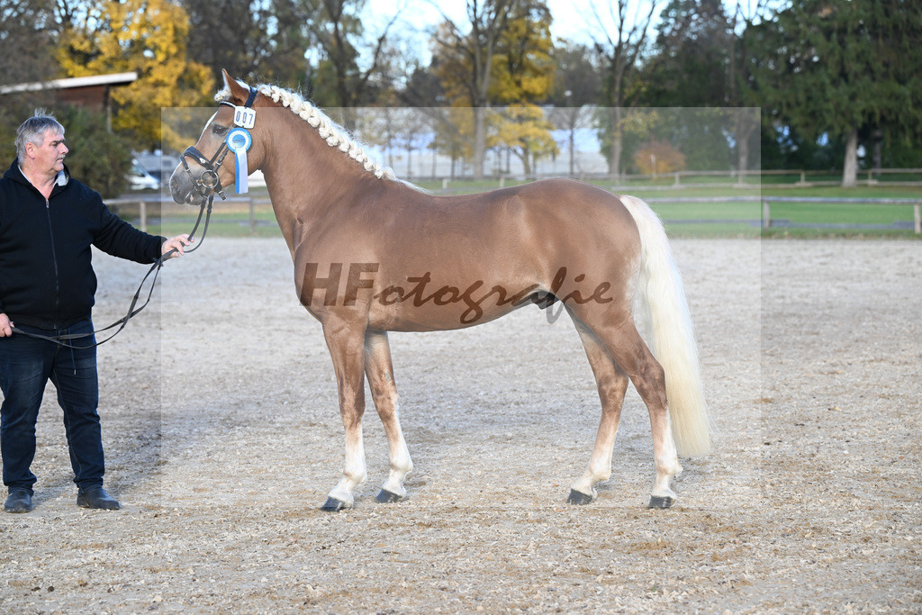 Kat-Nr. 7 Narcotic v. Nakuri_ZG Hackfurt u Weiser_43250843 | hf-fotografie - Realisiert mit Pictrs.com