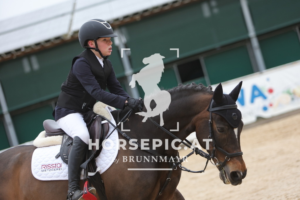 0P6A4214 | Willkommen bei Brunnmayr - Design & Fotografie – Ihrem Spezialisten für Reitturniere und Pferdeveranstaltungen in Oberösterreich, Salzburg und Bayern! Seit über 17 Jahren sind wir leidenschaftlich dabei.