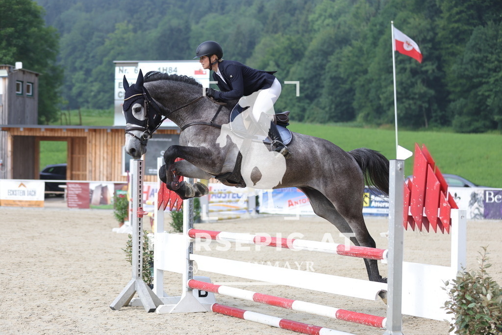 0P6A7997 | Willkommen bei Brunnmayr - Design & Fotografie – Ihrem Spezialisten für Reitturniere und Pferdeveranstaltungen in Oberösterreich, Salzburg und Bayern! Seit über 17 Jahren sind wir leidenschaftlich dabei.