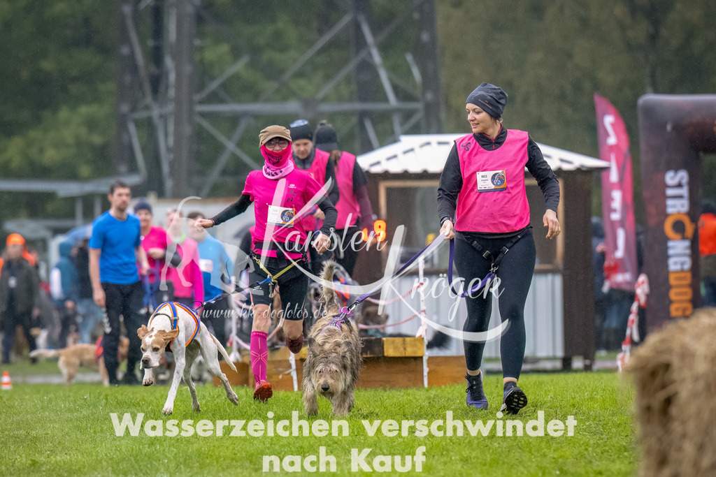 1004--2 | kk-dogfotos