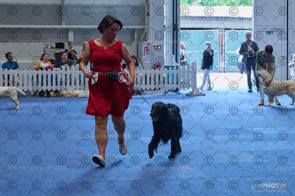 202406_ÖKV-IHA-Tulln24_DSC_5132 | proPHOTO - Realisiert mit Pictrs.com