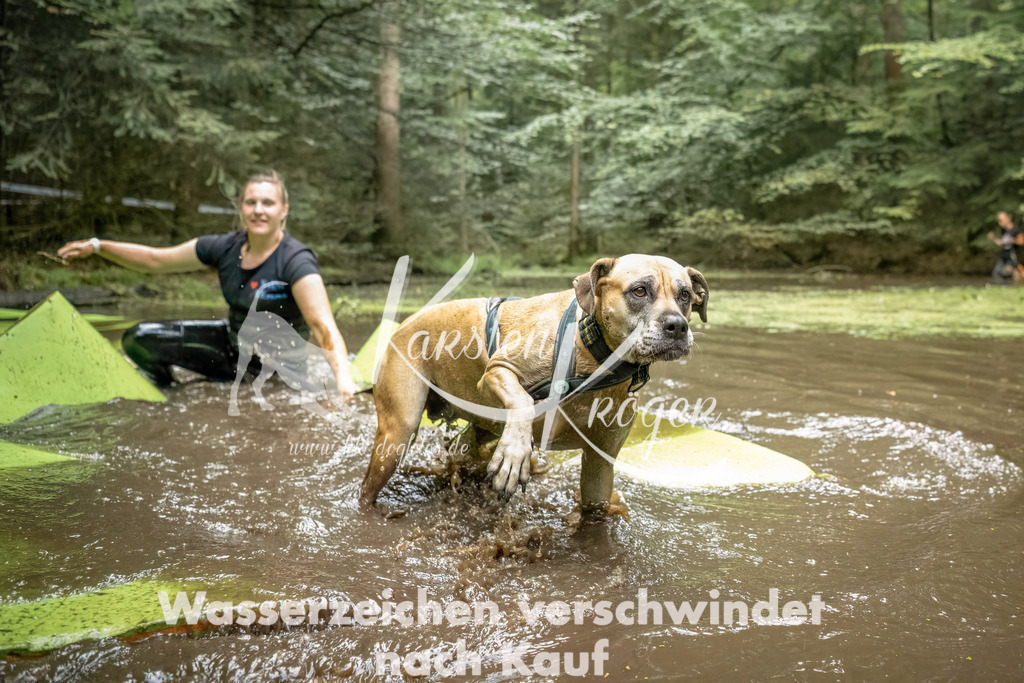 1430_ZZ92635-Bearbeitet | kk-dogfotos