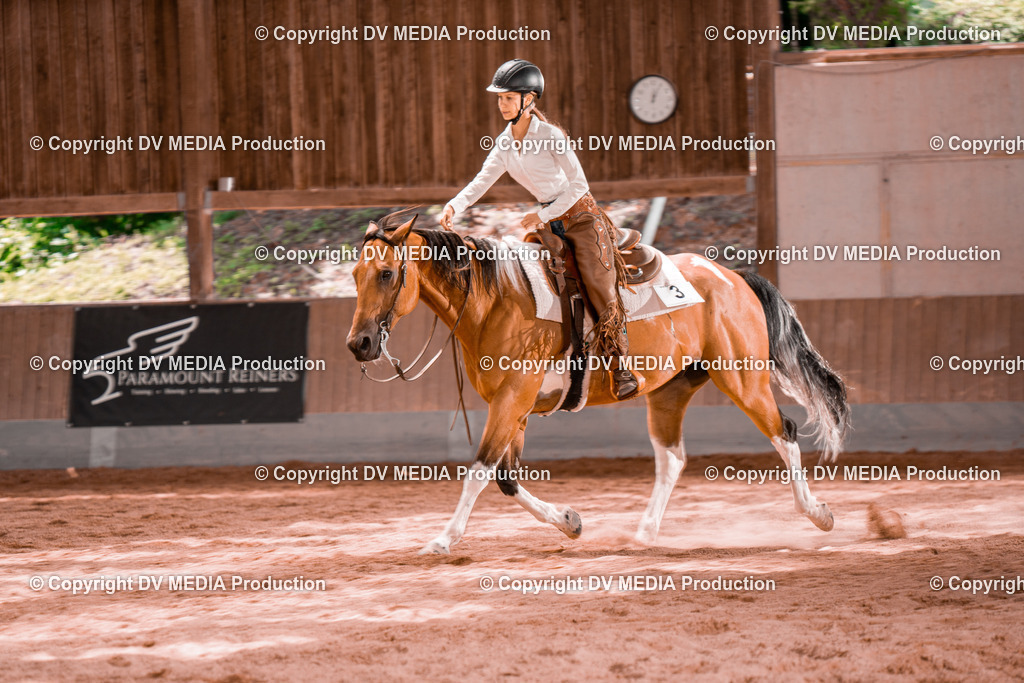 NE200669 | dv-media-shop - Realisiert mit Pictrs.com