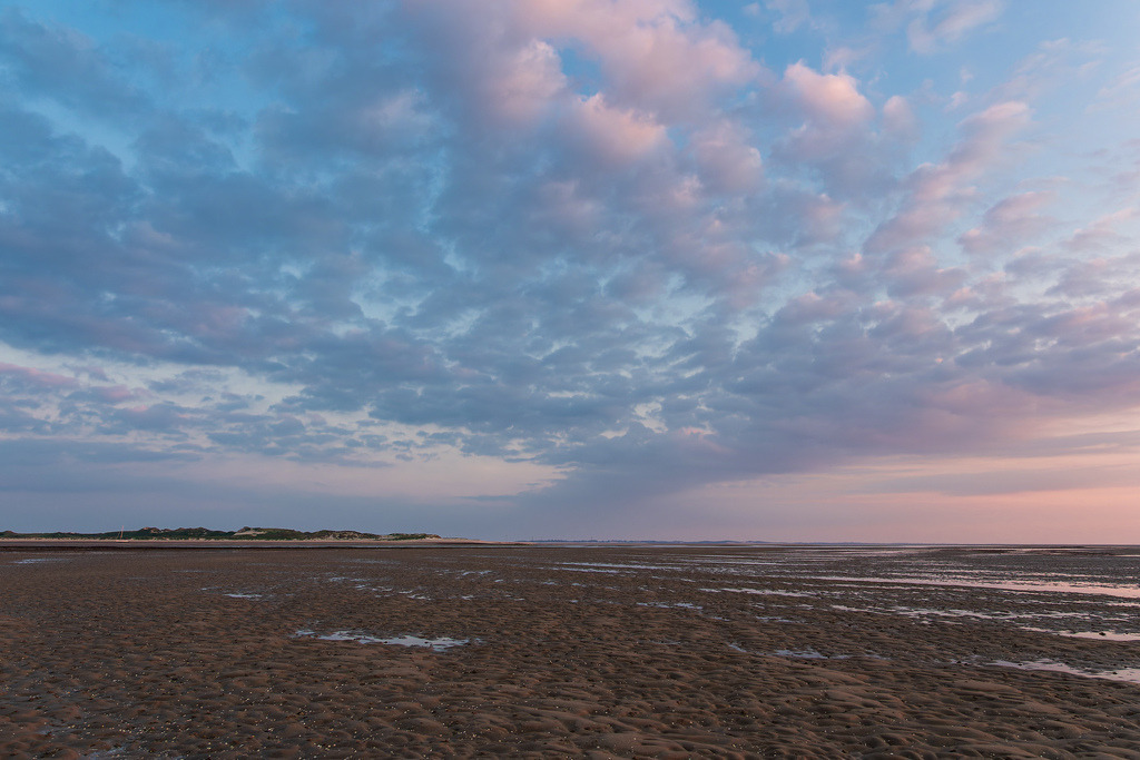 Morgens im Wattenmeer auf der Insel Amrum | Morgens im Wattenmeer auf der Insel Amrum.