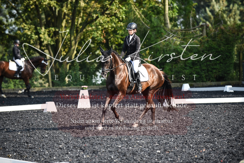 DSC_3190 | Pferde- und Turnierfotografie in Westsachsen. Pferdeportraits, Auftragszeichnungen und intuitive Kunst.