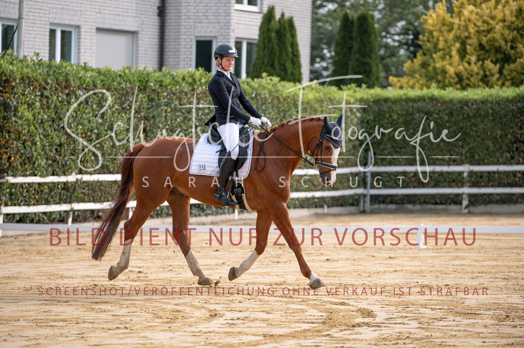 Schugtsche-Aluta25-40.DressurprfA_-24 | Schugtsche Fotografie - Realisiert mit Pictrs.com