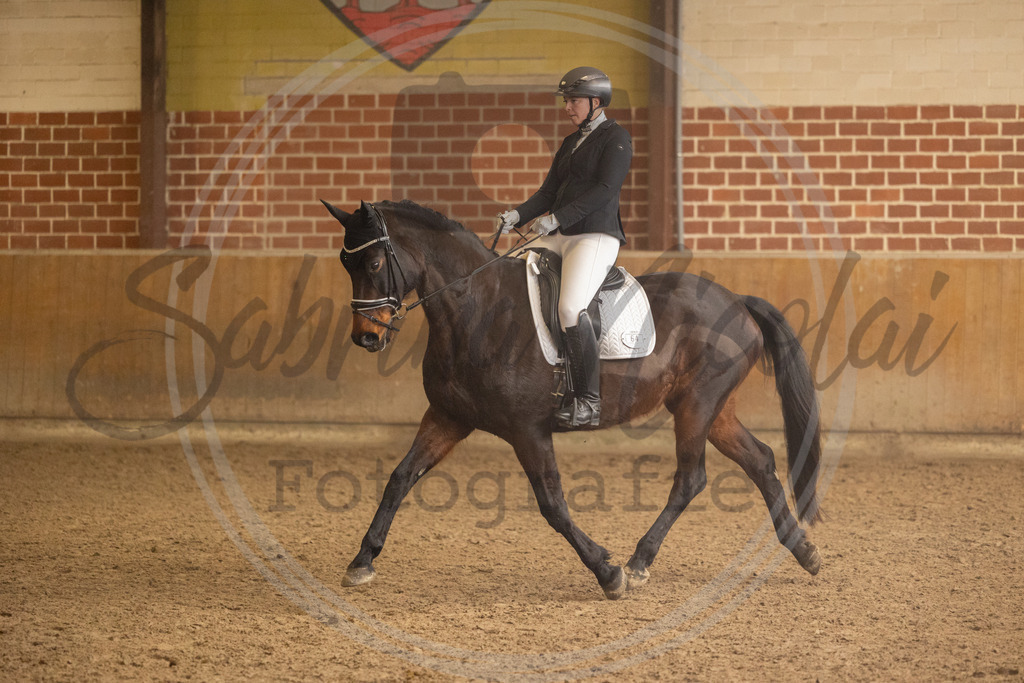 994A9225 | sabrinanicolaifotografie - Realisiert mit Pictrs.com