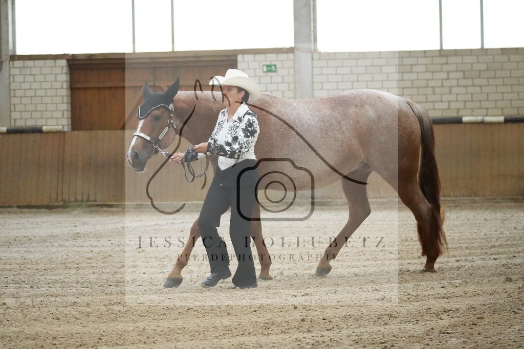 DSC08450 | jessicahollubetz_pferdephotographie - Realisiert mit Pictrs.com