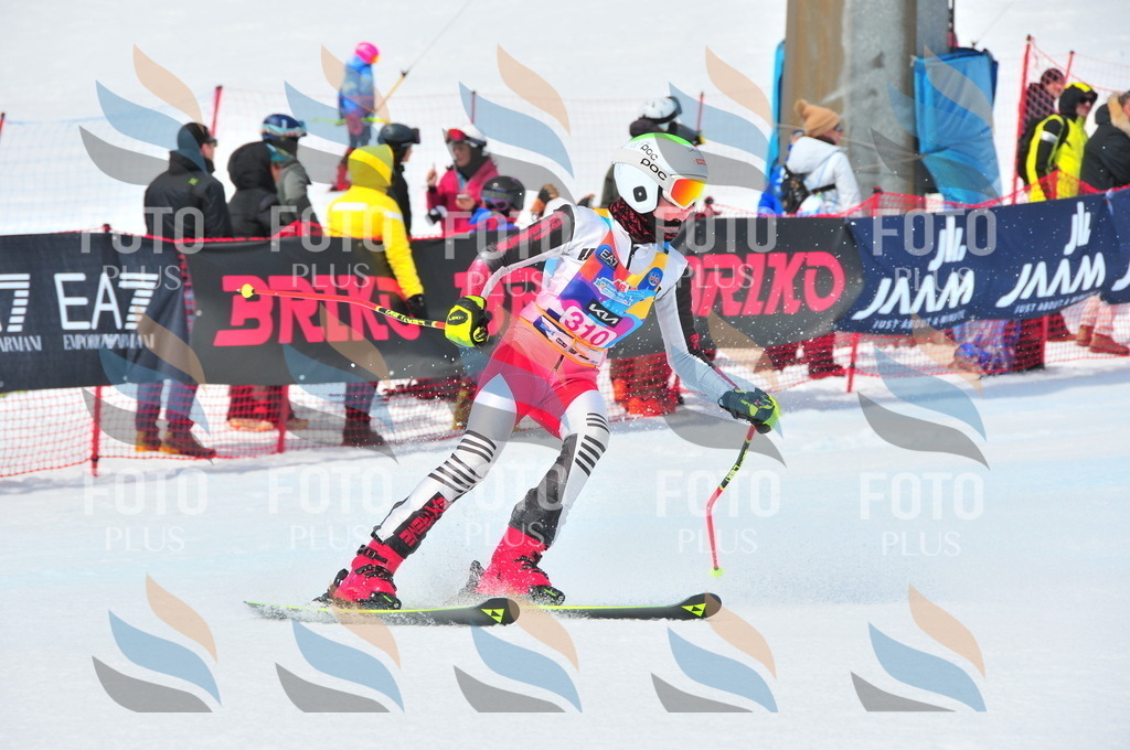 DSC_6629 | holidayphoto