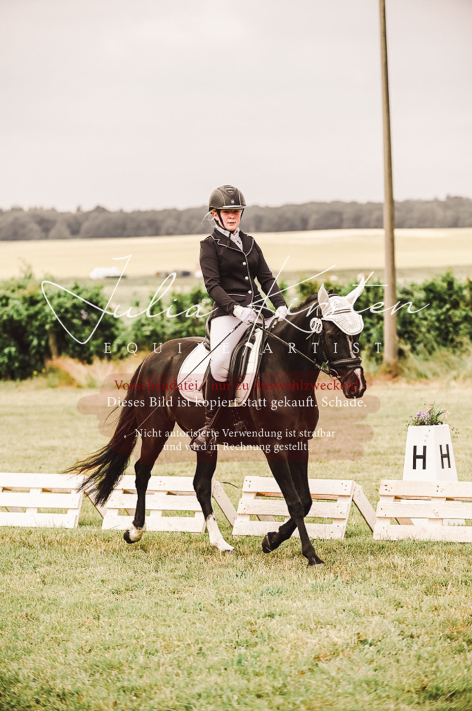 DSC_4853 | Pferde- und Turnierfotografie in Westsachsen. Pferdeportraits, Auftragszeichnungen und intuitive Kunst.