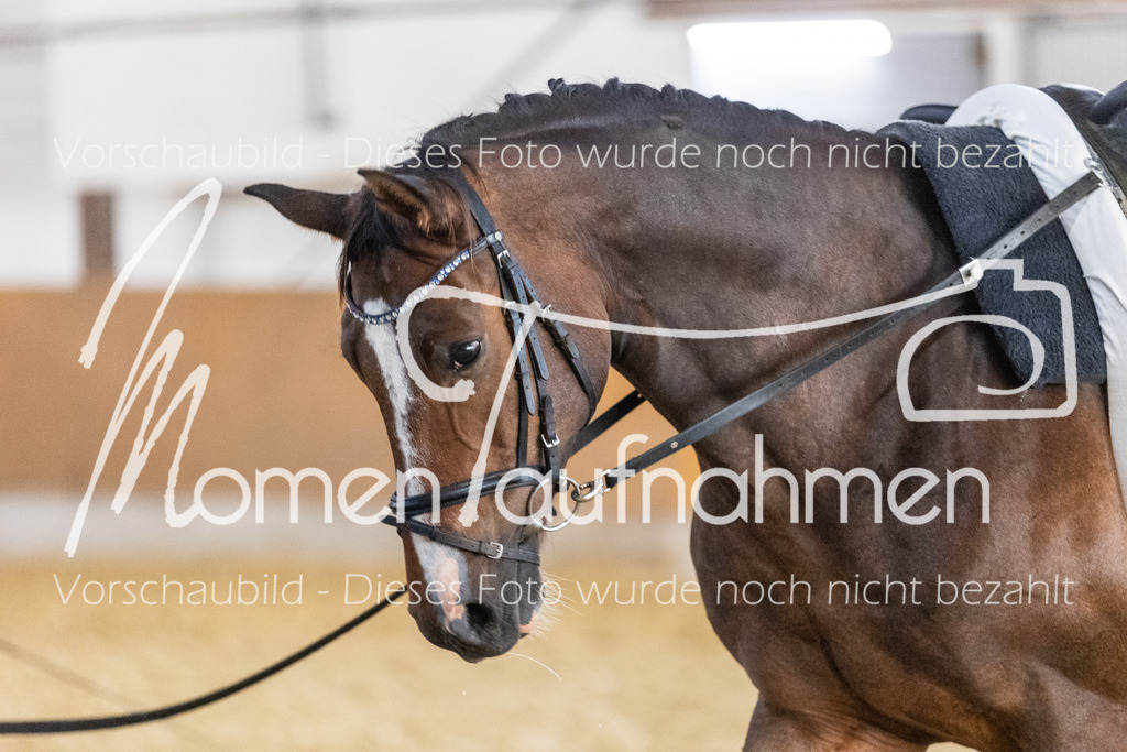 VTD-Voltigierpferde-067 | MomenTaufnahmen Pferdesportfotos