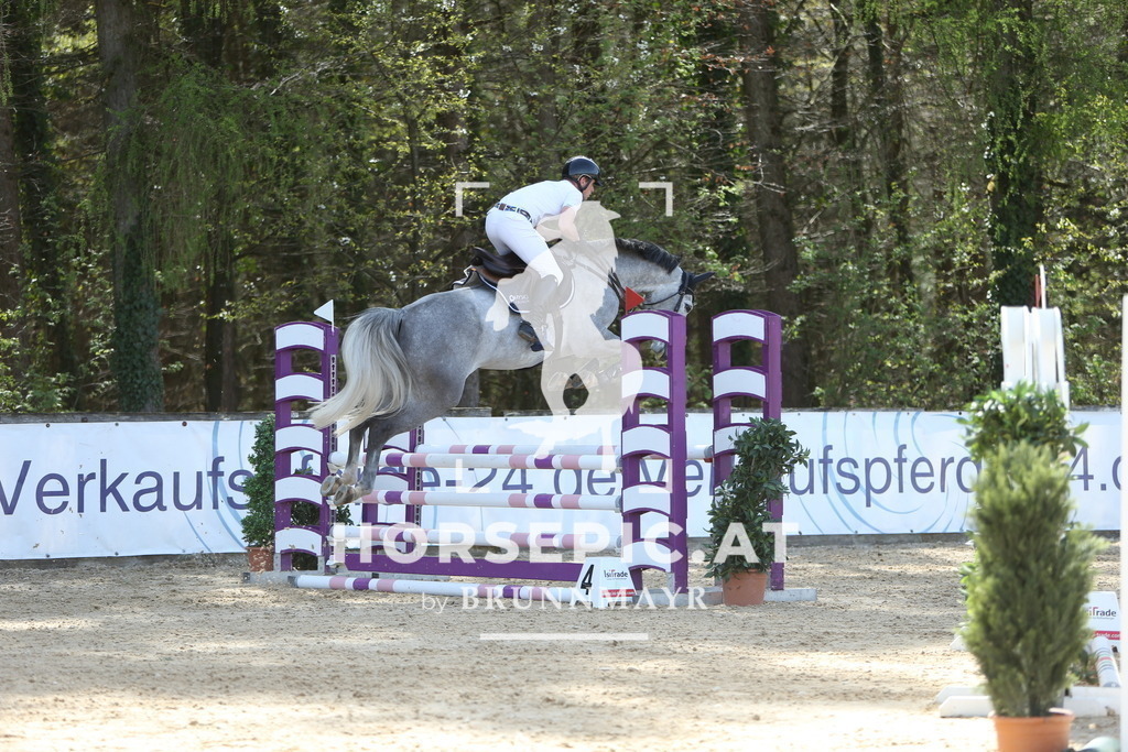 DL2Q2029 | Willkommen bei Brunnmayr - Design & Fotografie – Ihrem Spezialisten für Reitturniere und Pferdeveranstaltungen in Oberösterreich, Salzburg und Bayern! Seit über 17 Jahren sind wir leidenschaftlich dabei.