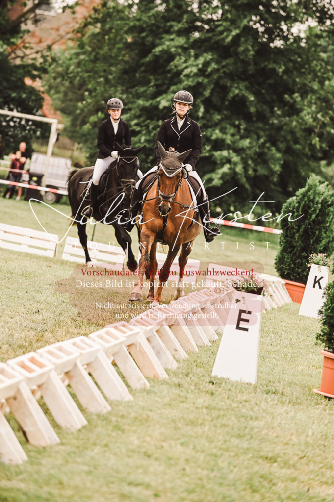 DSC_5167 | Pferde- und Turnierfotografie in Westsachsen. Pferdeportraits, Auftragszeichnungen und intuitive Kunst.