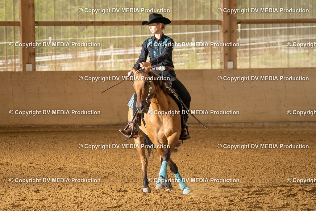 LAU01631 | dv-media-shop - Realisiert mit Pictrs.com