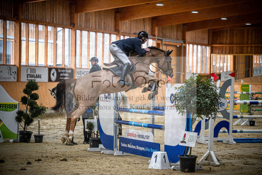 DOS_0419 | Entdecke hochwertige Reitturnierfotos von Foto Oger. Professionell, emotional und authentisch – jetzt Lieblingsmomente im Shop bestellen.Deutschlandweite Turnierfotografie. - Realisiert mit Pictrs.com