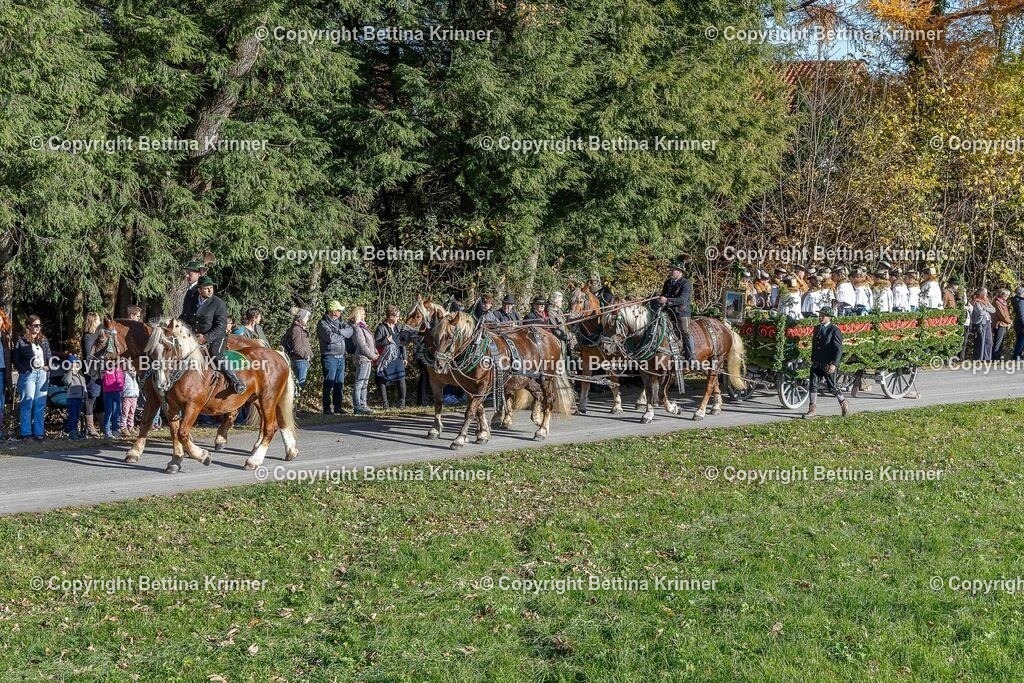 LBT25-244 | foto-bettina-krinner - Realisiert mit Pictrs.com