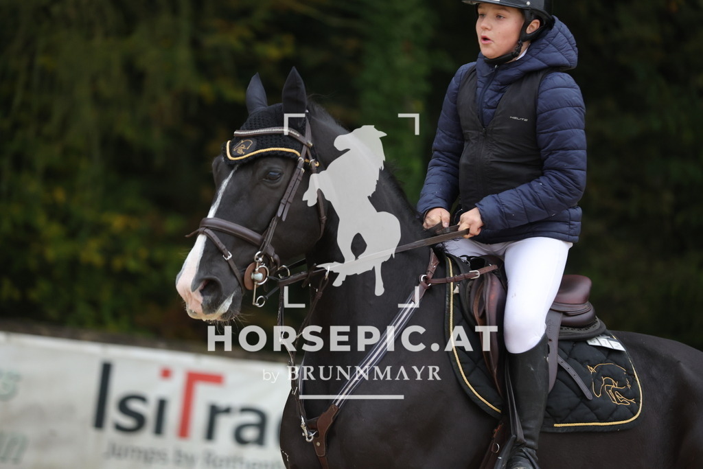 0P6A0471 | Willkommen bei Brunnmayr - Design & Fotografie – Ihrem Spezialisten für Reitturniere und Pferdeveranstaltungen in Oberösterreich, Salzburg und Bayern! Seit über 17 Jahren sind wir leidenschaftlich dabei.