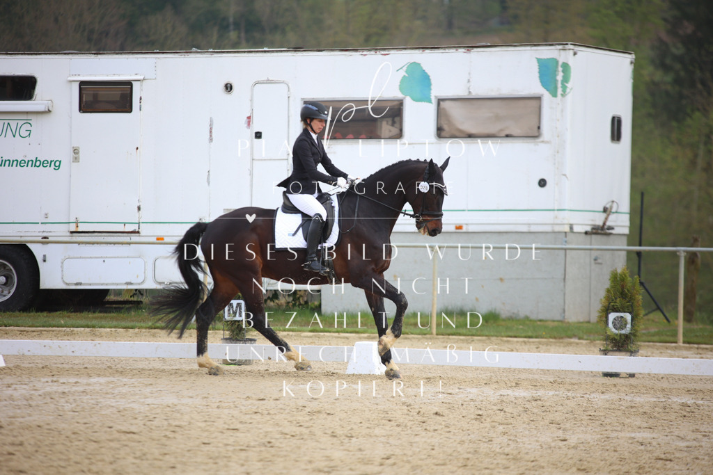 IMGT5380 | pl-fotografie