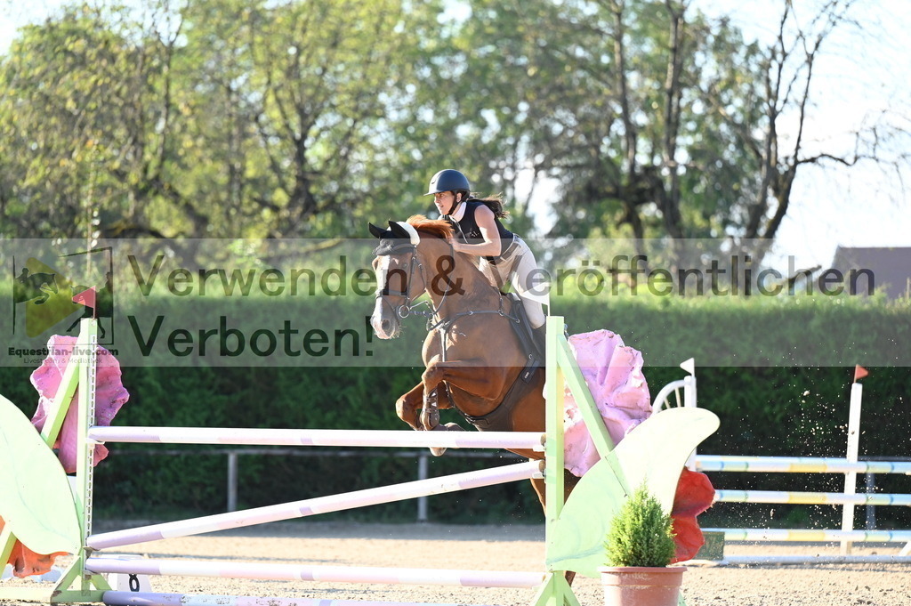 DSC_8959 | equestrian-live-com
