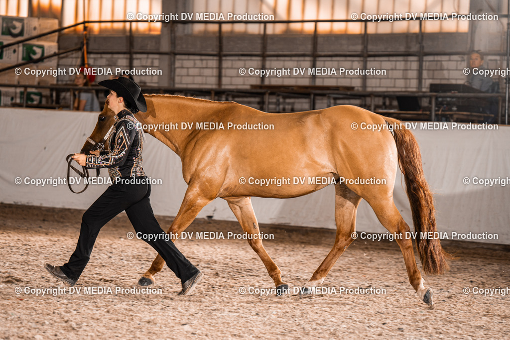 ZH100149 | dv-media-shop - Realisiert mit Pictrs.com