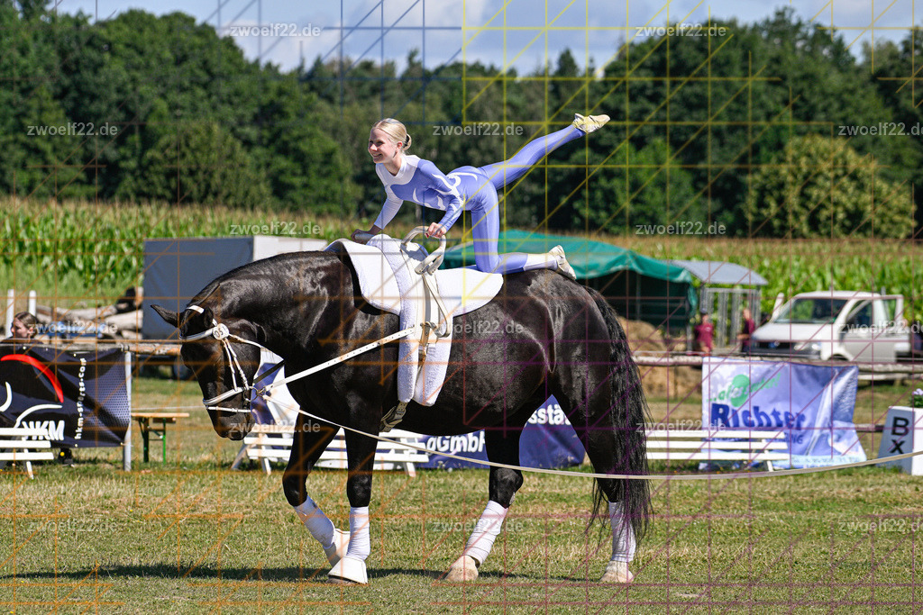 30 Jahre RFV Pulsnitz e.V., Pulsnitz am 09.08.2026 | 30Jahre Reit- und Fahrverein Pulsnitz e.V., Pulsnitz am 08.08.26, Zur 28. breitensportlichen Veranstaltung des RFV Pulsnitz e.V. fanden verschiedene Wettbewerbe in nahezu allen Disziplinen des Pferdesport statt.- Voltigier-Wettbewerb im Schritt - Realisiert mit Pictrs.com