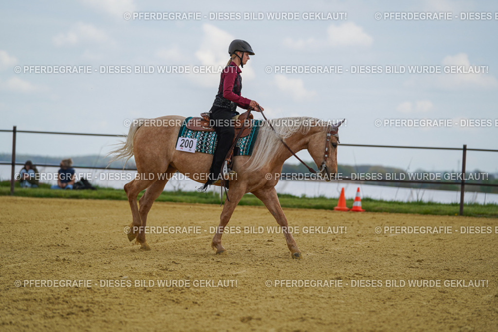 DSC05730 | Pferdegrafie