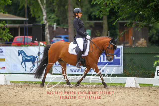 DKP42315 | Turniersportfotografie; Pferdefotografie; Dressurfotografie