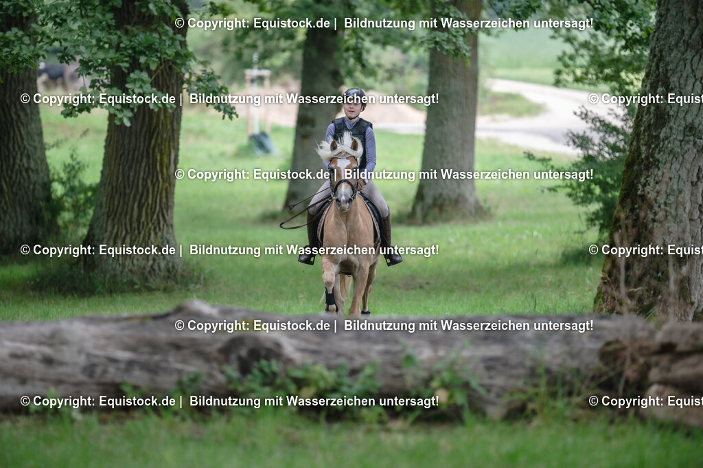 20250726_Vielseitigkeitslehrgang-Marbach_0201 | Foto: Thomas Hartig