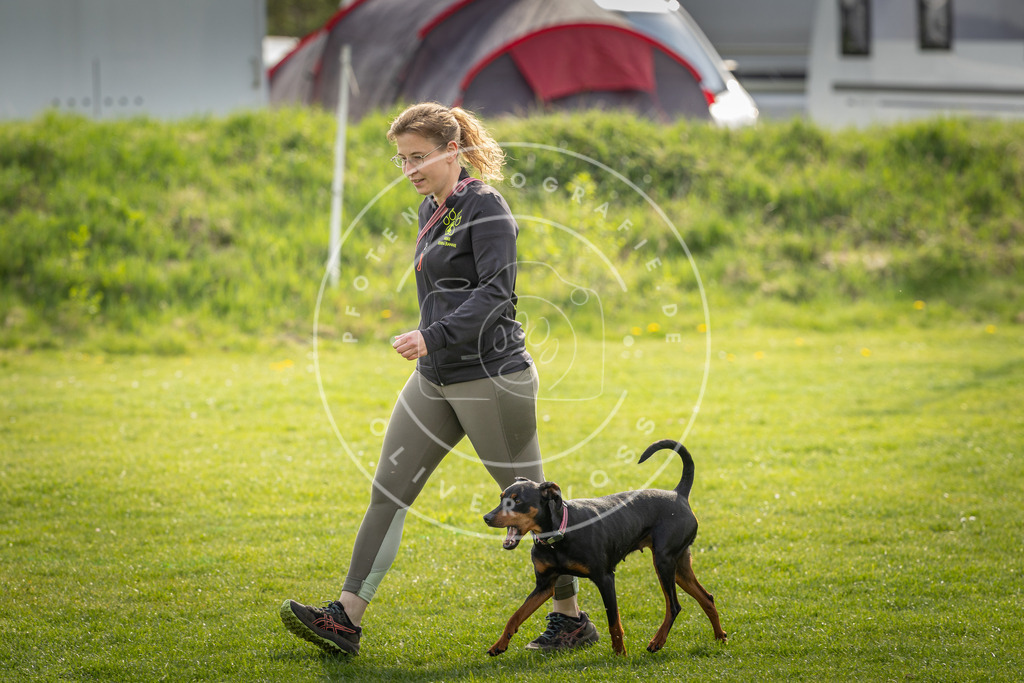 Pfotenfotografie_DV3A5007 | Hundefotografie, Tierfotograf, Pfotenfotografie, Fotoshooting Hund, Hunde Portrait, Hundesport, Hundeportraits, Heideshooting, Hunde, Sportfotograf, Hundefotograf, Turnierhundsport, THS,  - Realisiert mit Pictrs.com