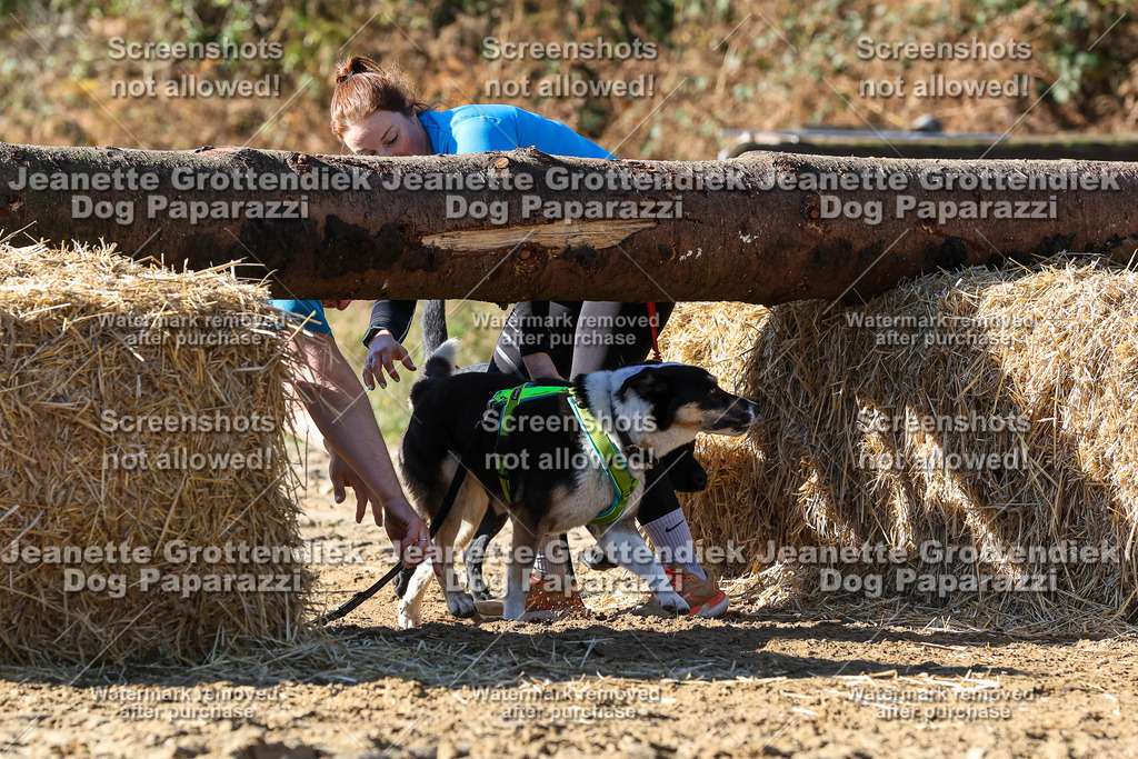 Dog Paparazzi - Strongdog 10-25-2814 | Dog Paparazzi Jeanette Grottendiek Fotografie & Videografie - Realisiert mit Pictrs.com