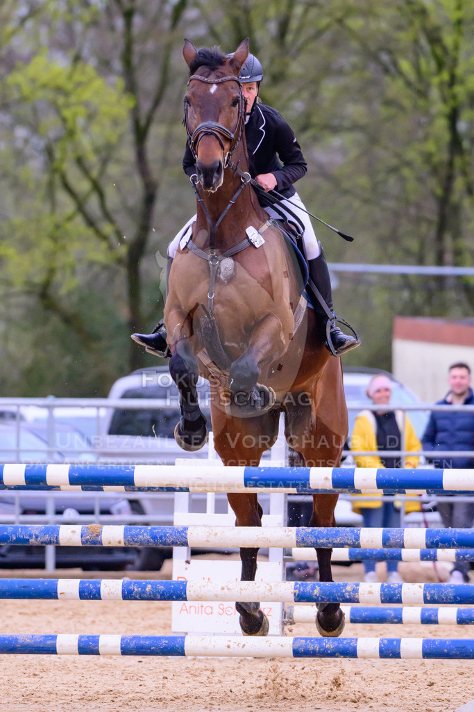 10042026-Mammendorf-Prfg19-0549 | Fokus Hufschlag Fotografie - Realisiert mit Pictrs.com