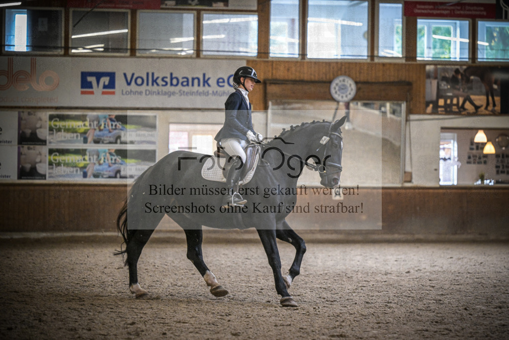 DOS_0349 | Entdecke hochwertige Reitturnierfotos von Foto Oger. Professionell, emotional und authentisch – jetzt Lieblingsmomente im Shop bestellen.Deutschlandweite Turnierfotografie. - Realisiert mit Pictrs.com