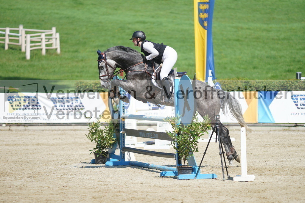 DSC07153 | equestrian-live-com